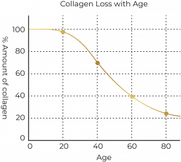 Chart showing the loss of collagen with age.