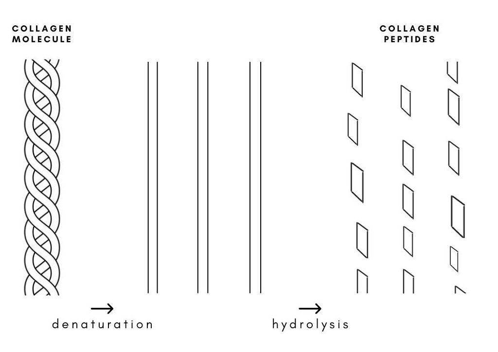 Gehydrolyseerde collageenpeptiden