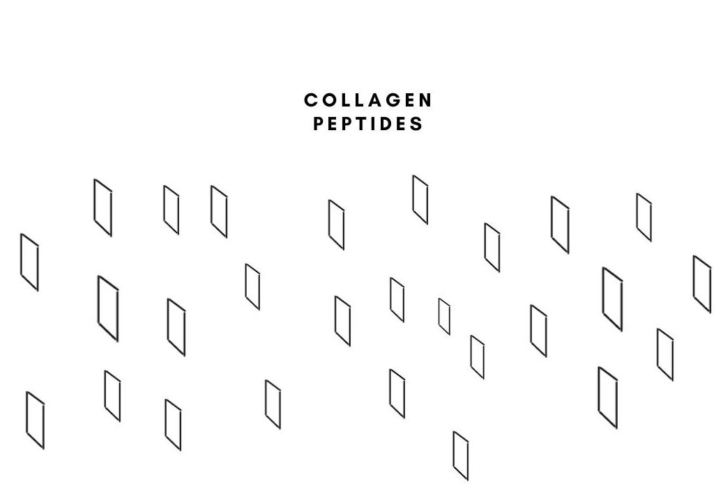 collageenpeptiden