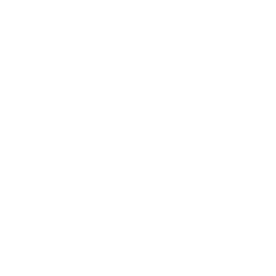 icon health